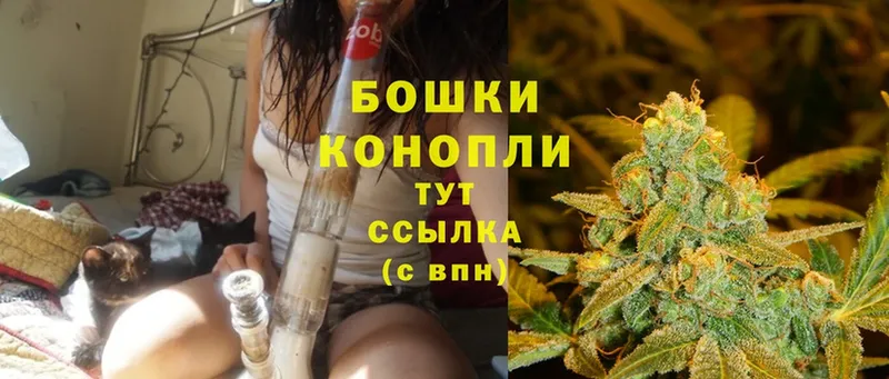 Шишки марихуана SATIVA & INDICA  OMG как войти  Алапаевск 